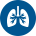 lung-icon